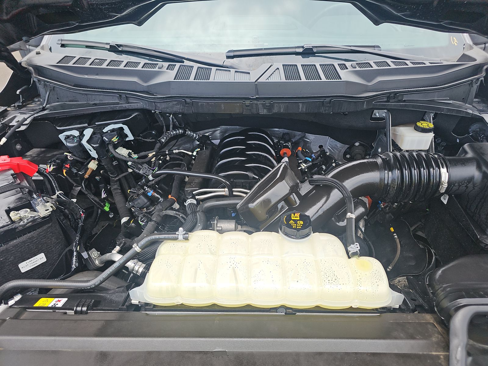 2024 Ford F-150 XLT AWD