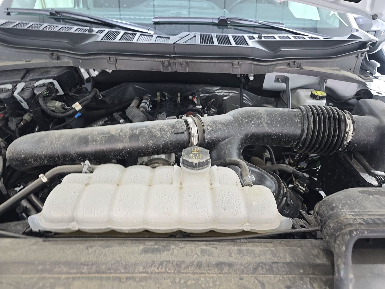 2025 Ford F-150 XLT AWD