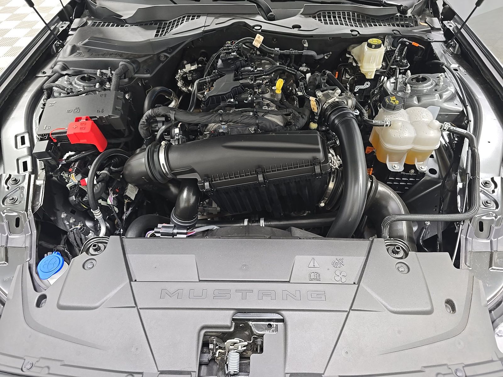 2026 Ford Mustang EcoBoost Premium RWD