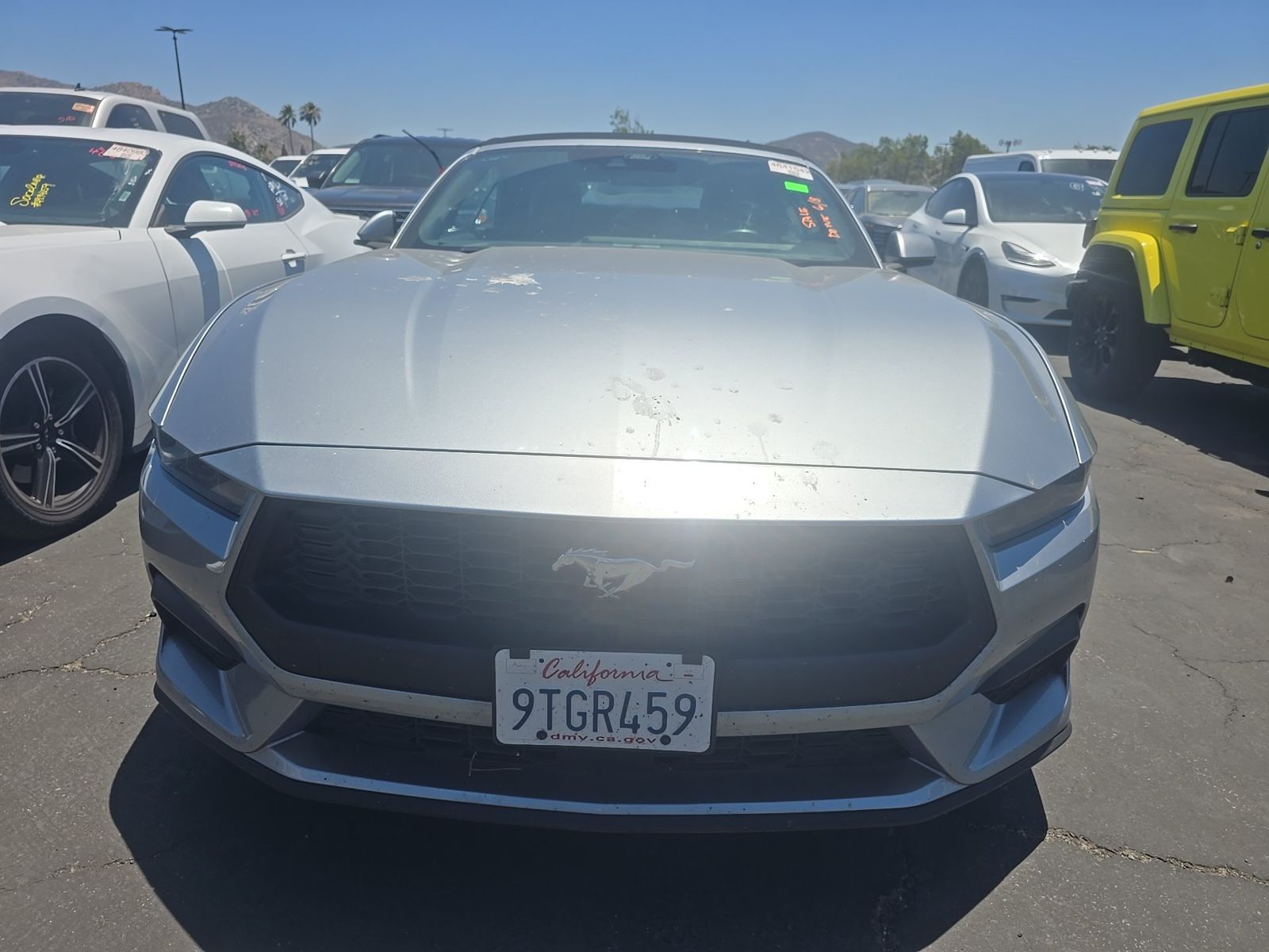 2025 Ford Mustang EcoBoost Premium RWD