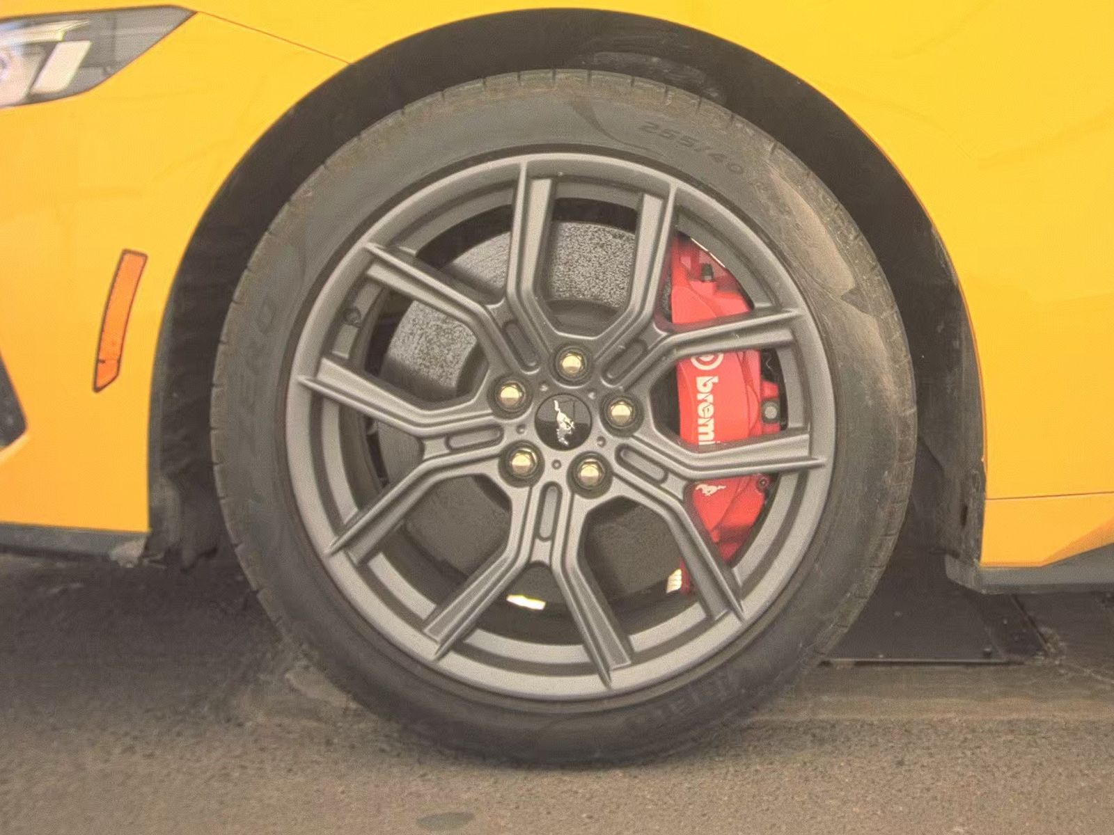2024 Ford Mustang EcoBoost Premium RWD