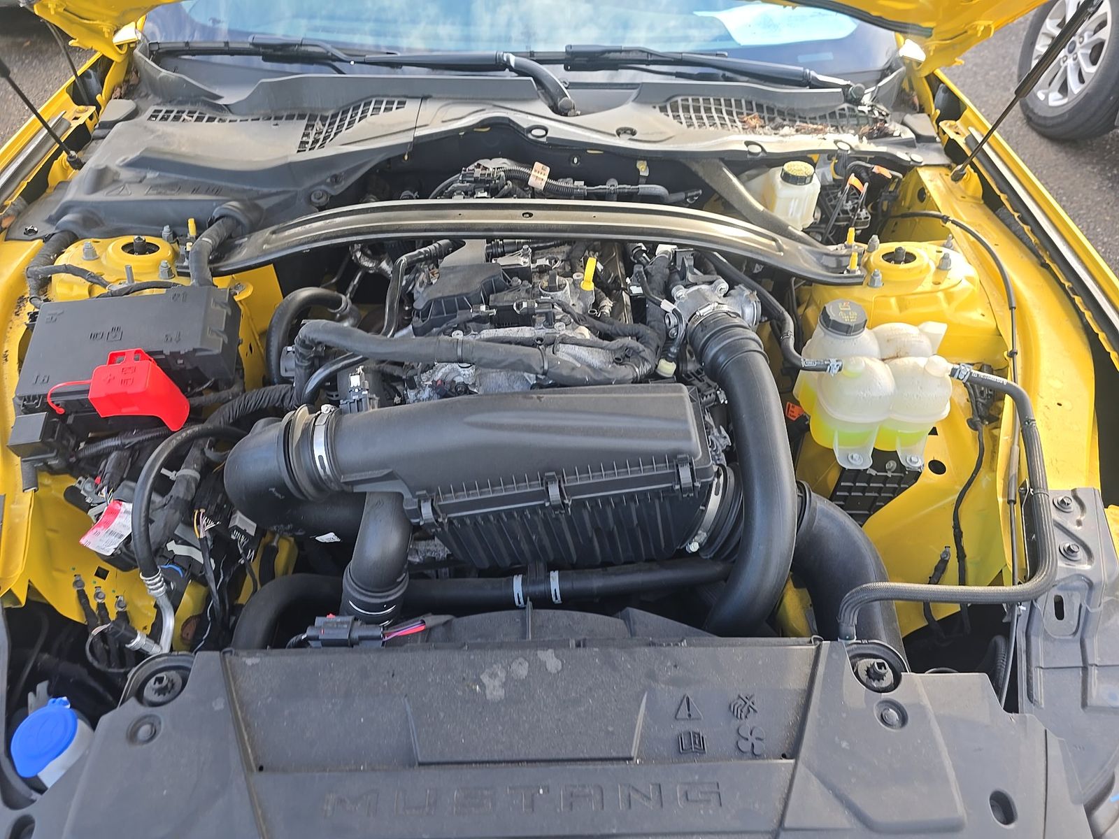 2024 Ford Mustang EcoBoost Premium RWD