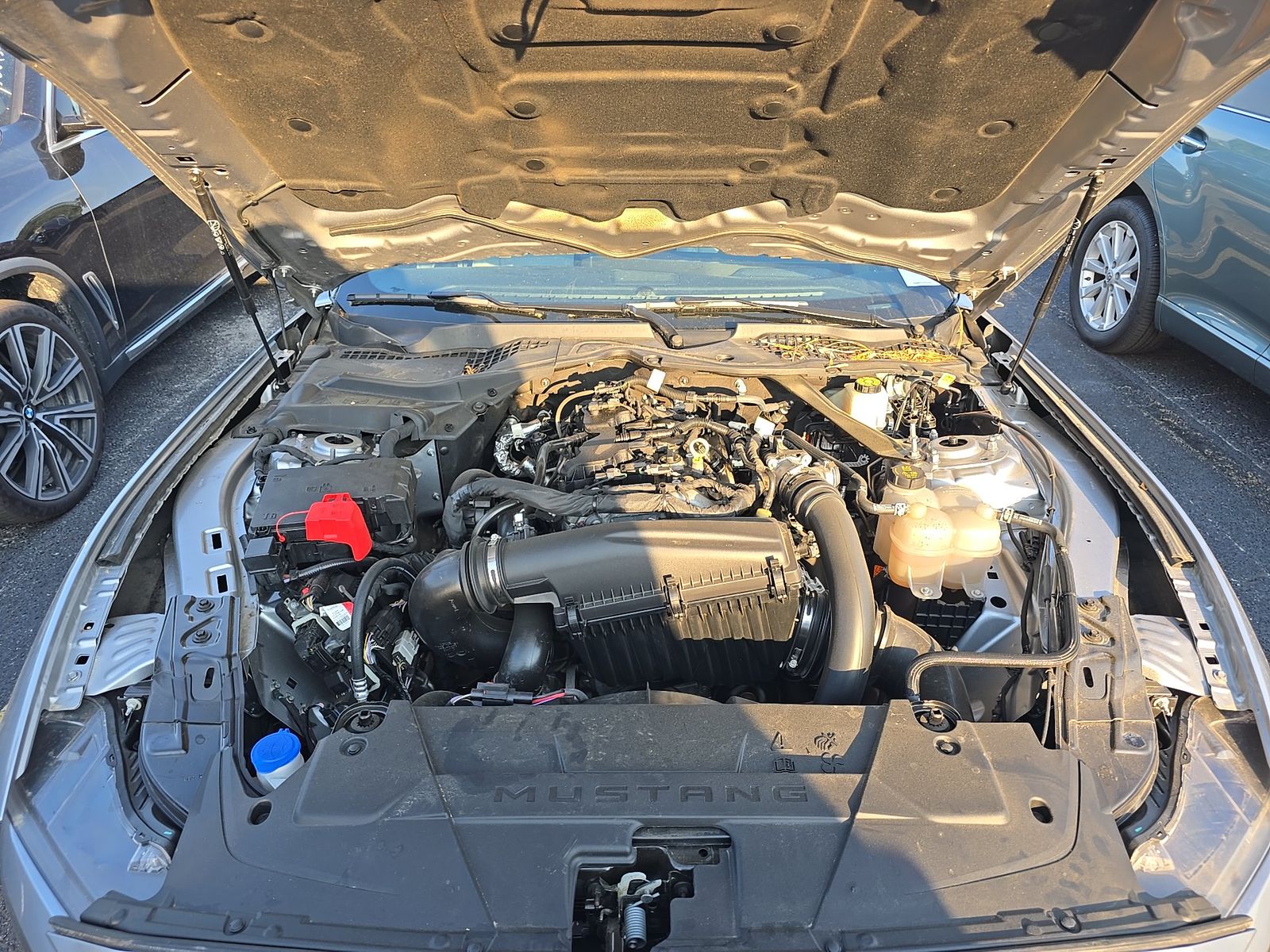 2024 Ford Mustang EcoBoost Premium RWD