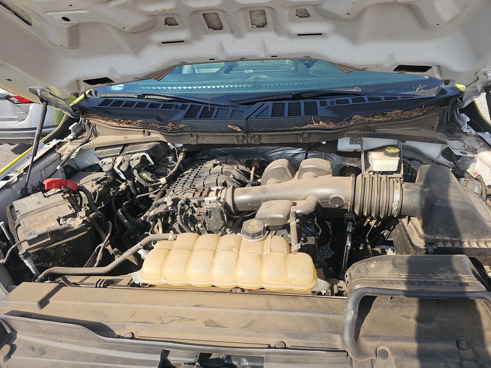 2021 Ford F-150 XL RWD