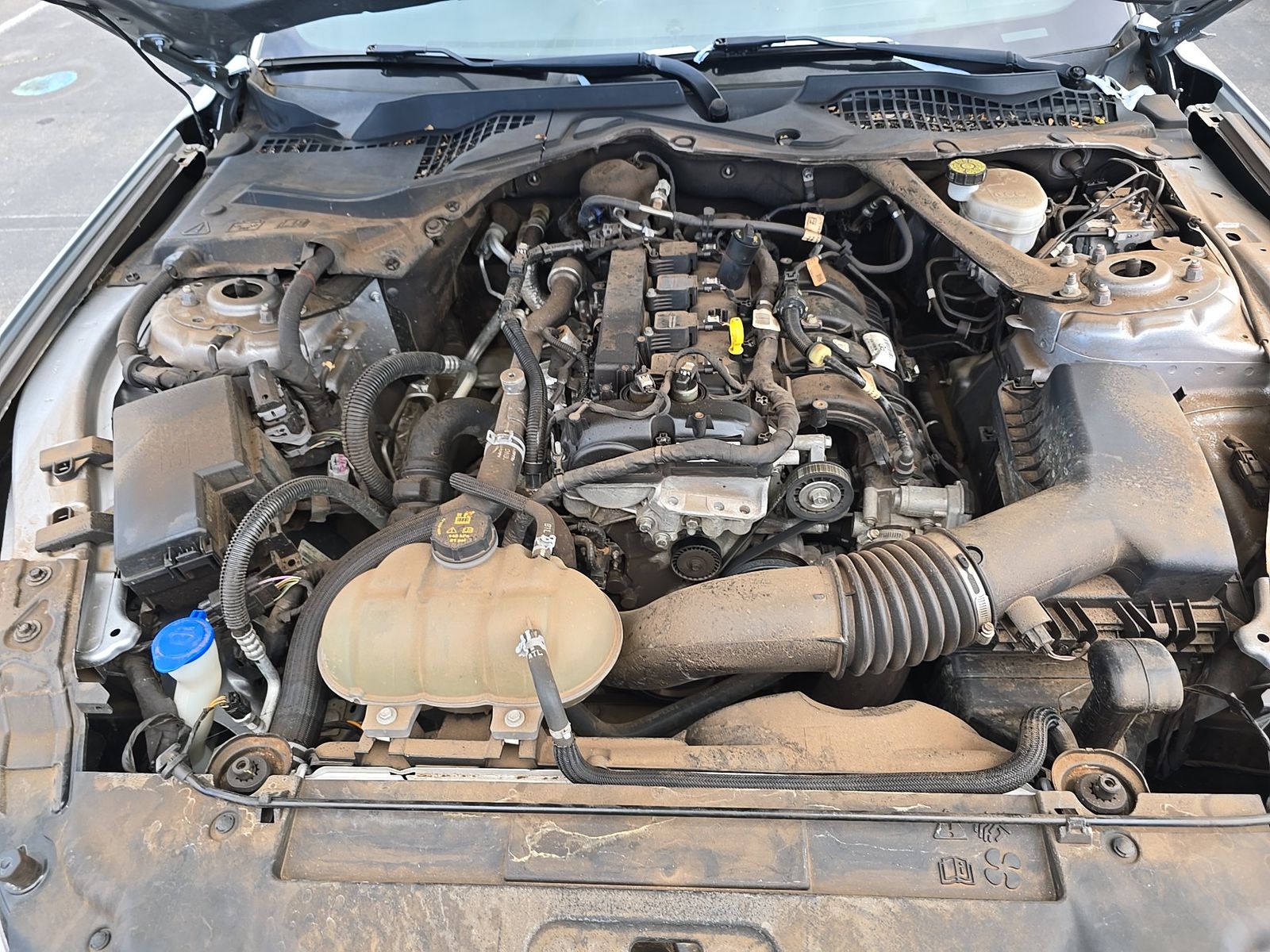 2023 Ford Mustang EcoBoost Premium RWD