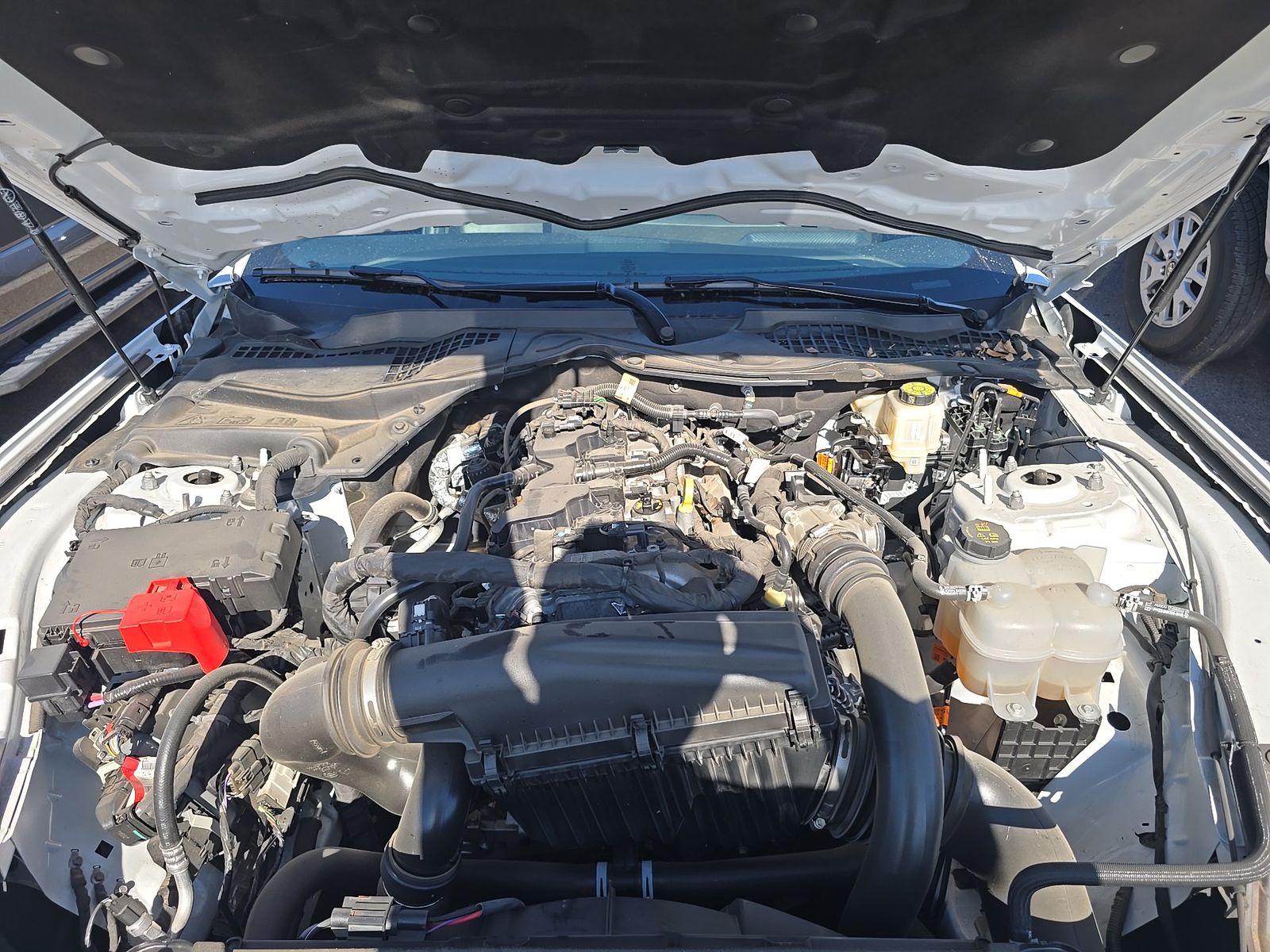 2025 Ford Mustang EcoBoost Premium RWD