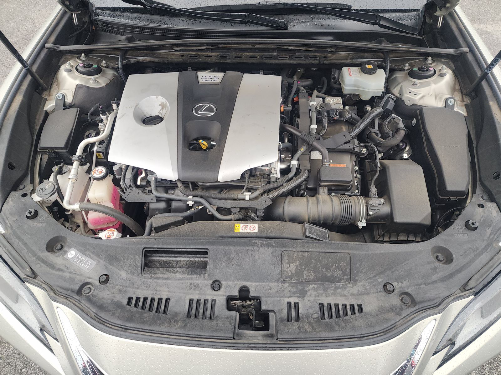 2019 Lexus ES ES 300h FWD