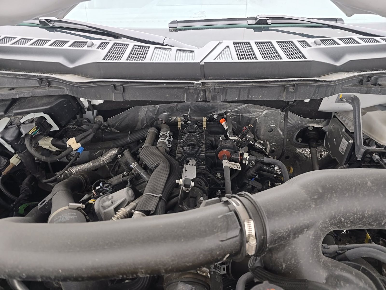 2025 Ford F-150 XLT AWD