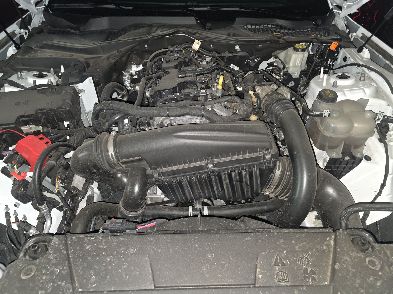 2025 Ford Mustang EcoBoost Premium RWD