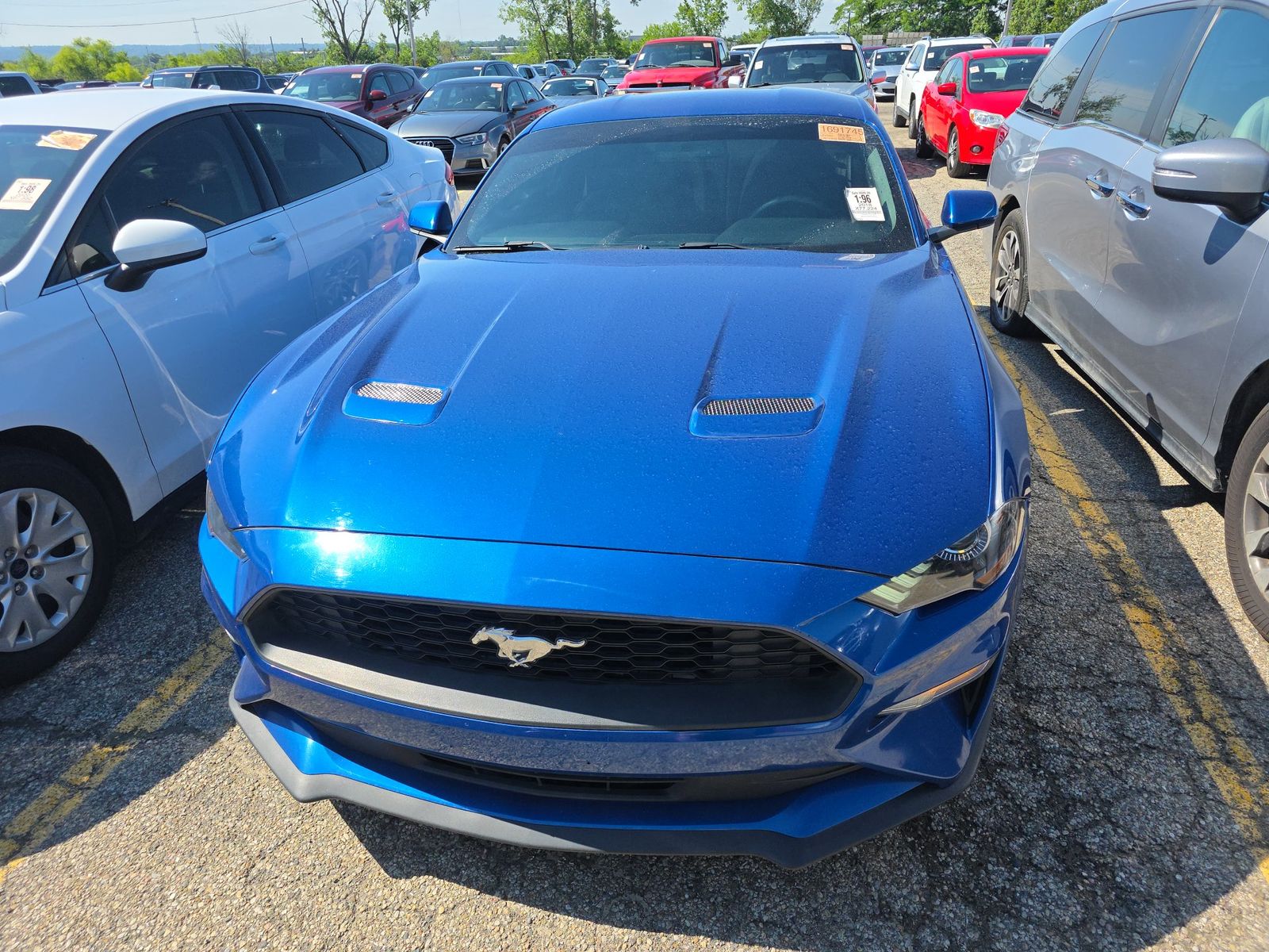 2018 Ford Mustang EcoBoost RWD
