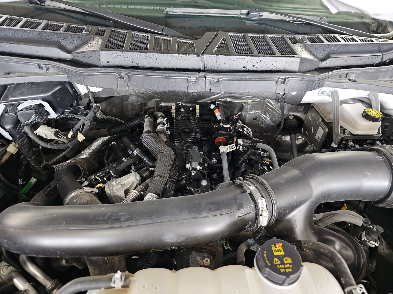 2025 Ford F-150 XLT AWD