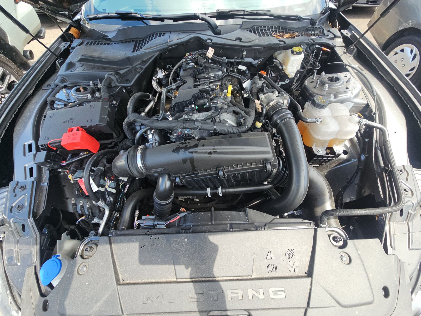 2026 Ford Mustang EcoBoost Premium RWD