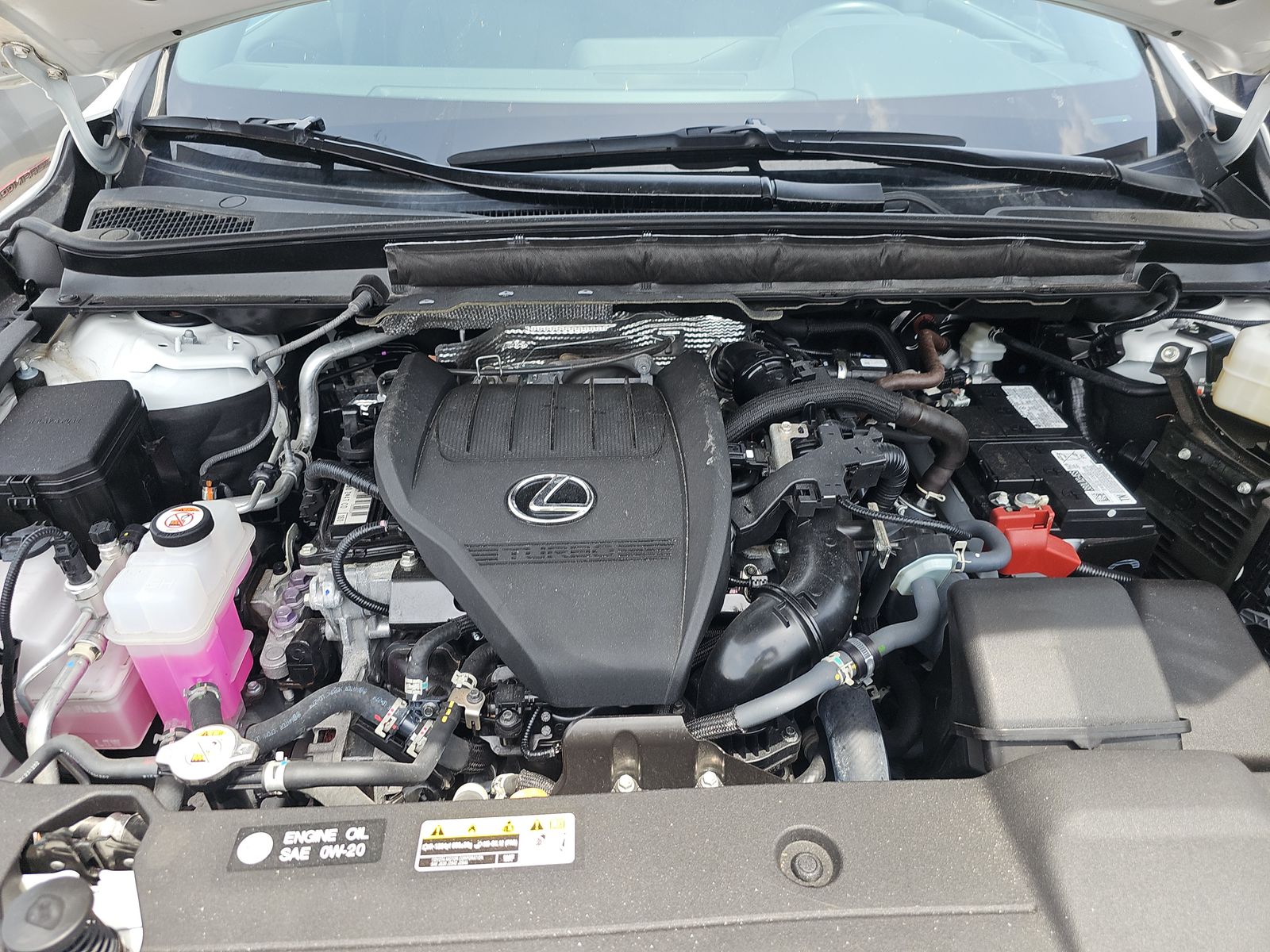 2024 Lexus RX RX 350 AWD