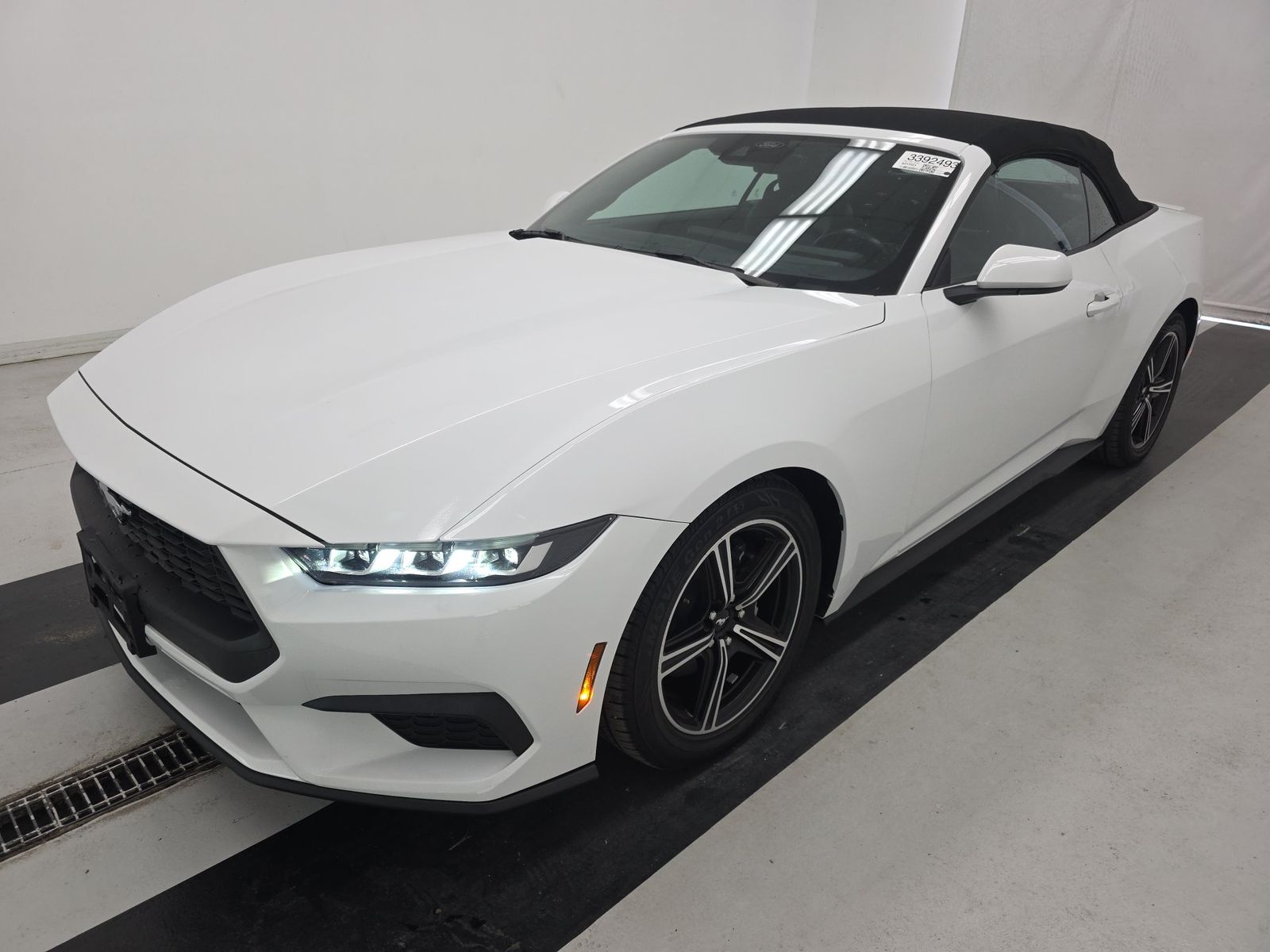 2024 Ford Mustang EcoBoost Premium RWD