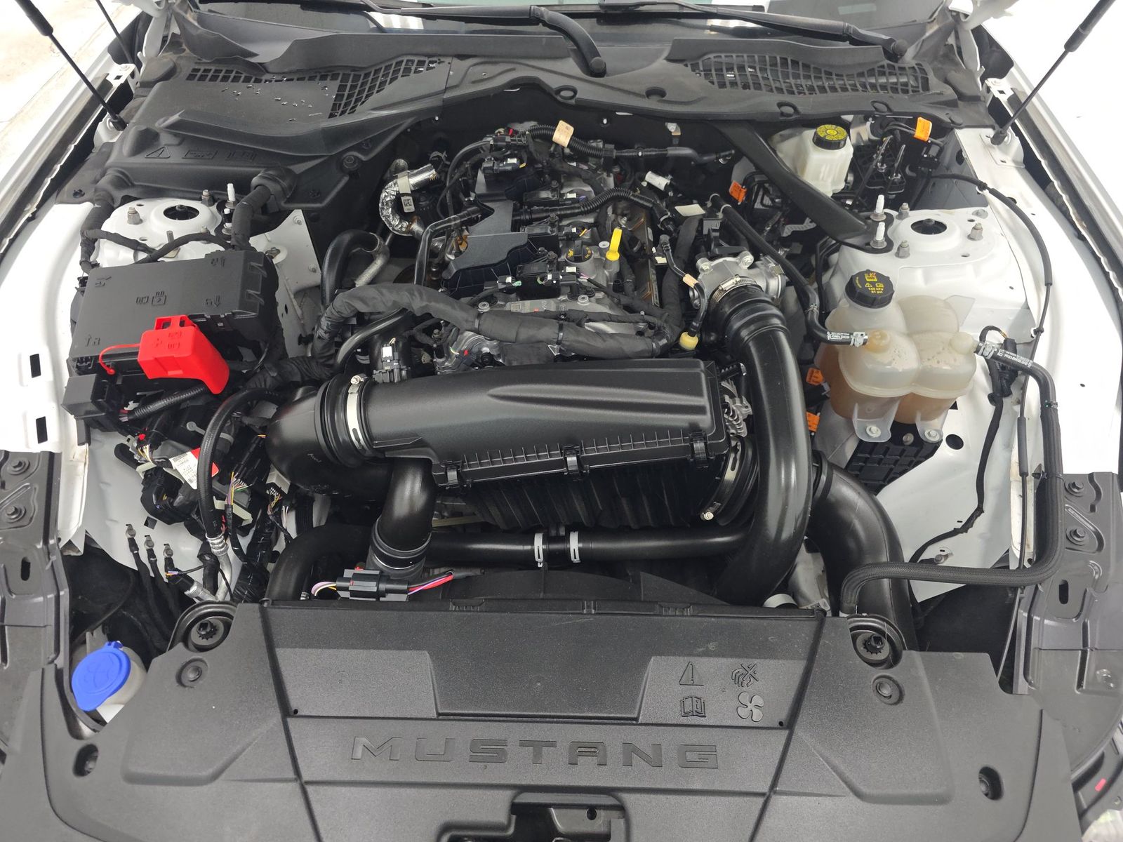 2024 Ford Mustang EcoBoost Premium RWD