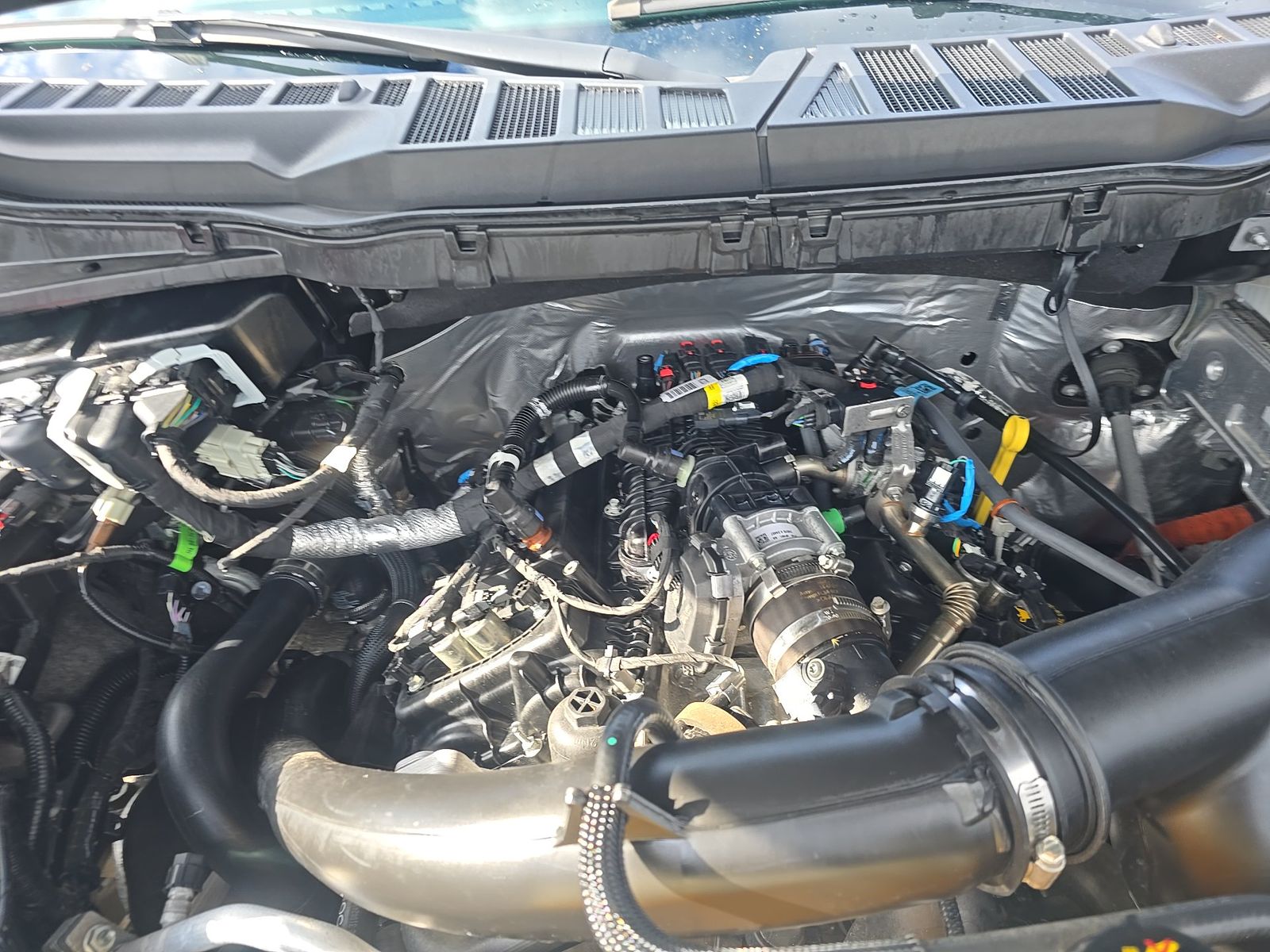2024 Ford F-150 XLT AWD
