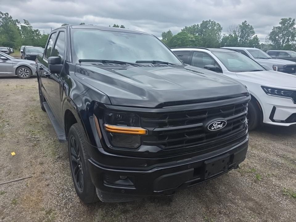 2025 Ford F-150 XLT AWD