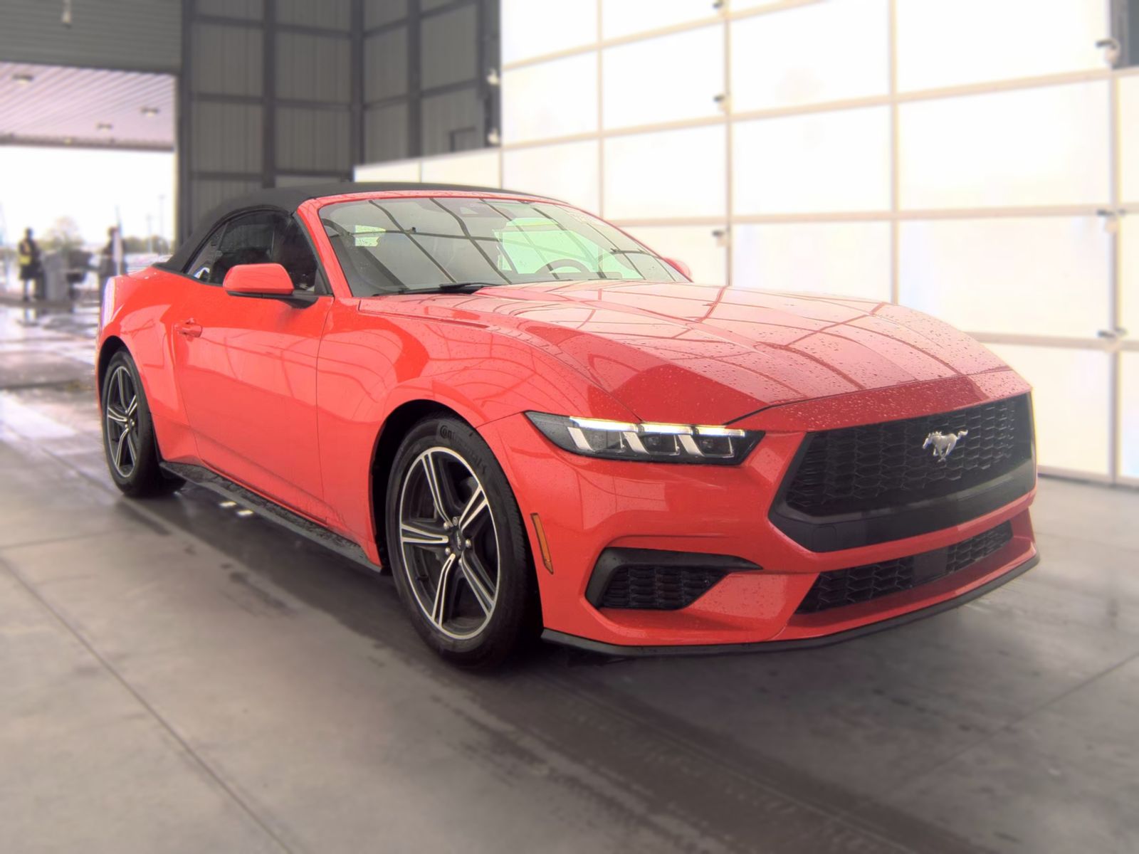 2025 Ford Mustang EcoBoost Premium FWD