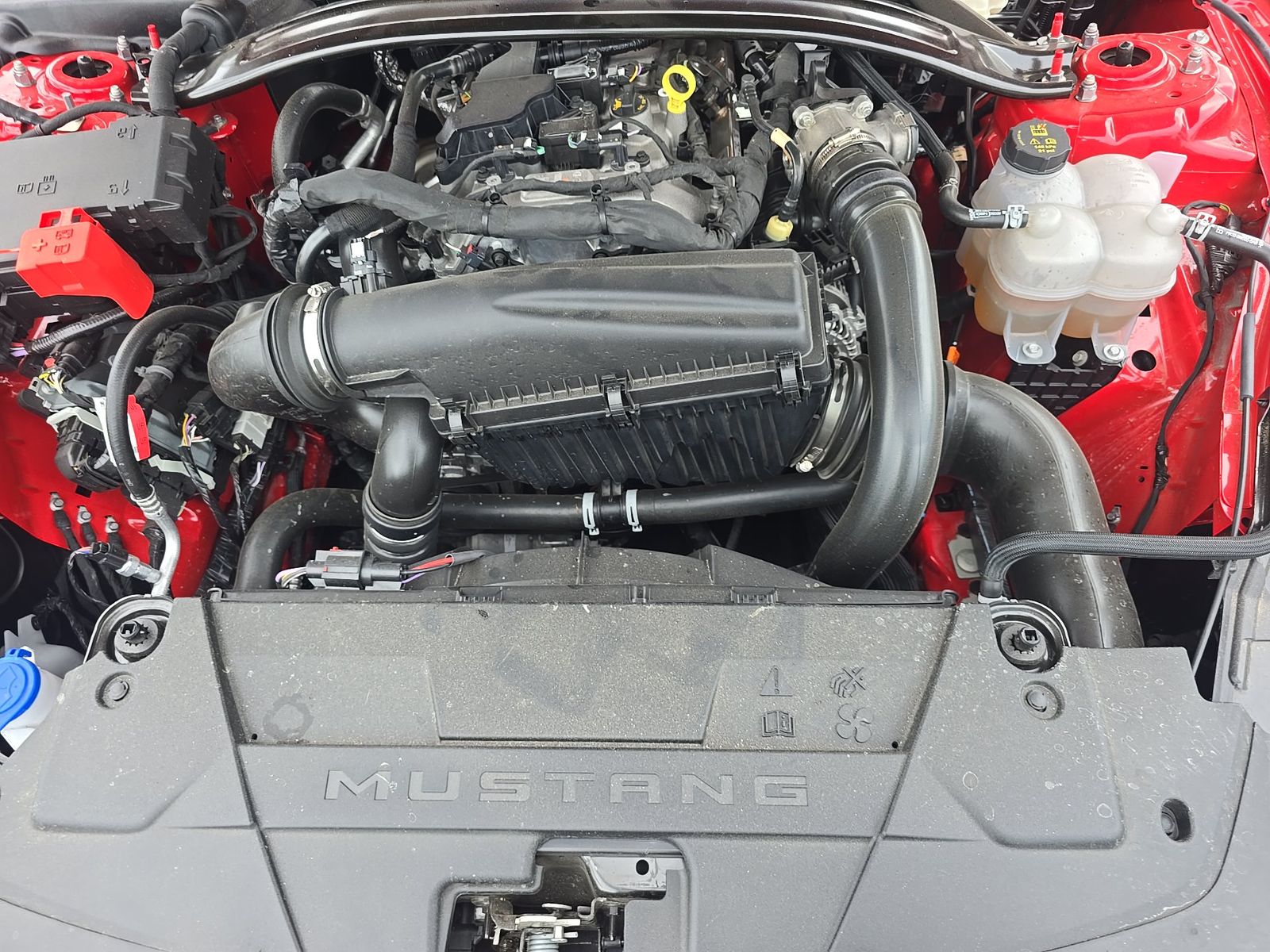 2025 Ford Mustang EcoBoost Premium FWD