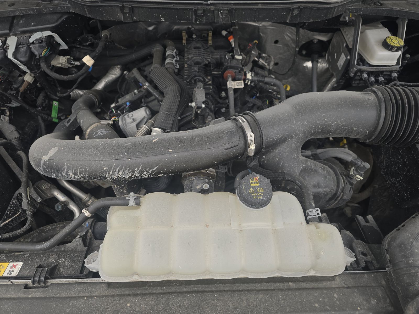 2025 Ford F-150 XLT AWD