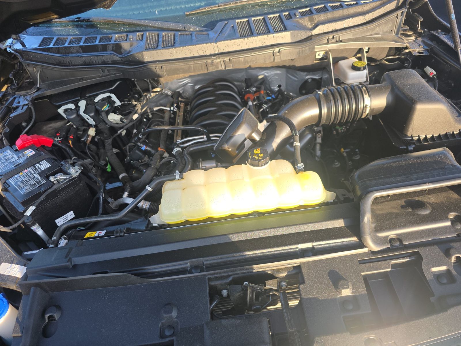 2025 Ford F-150 XLT AWD