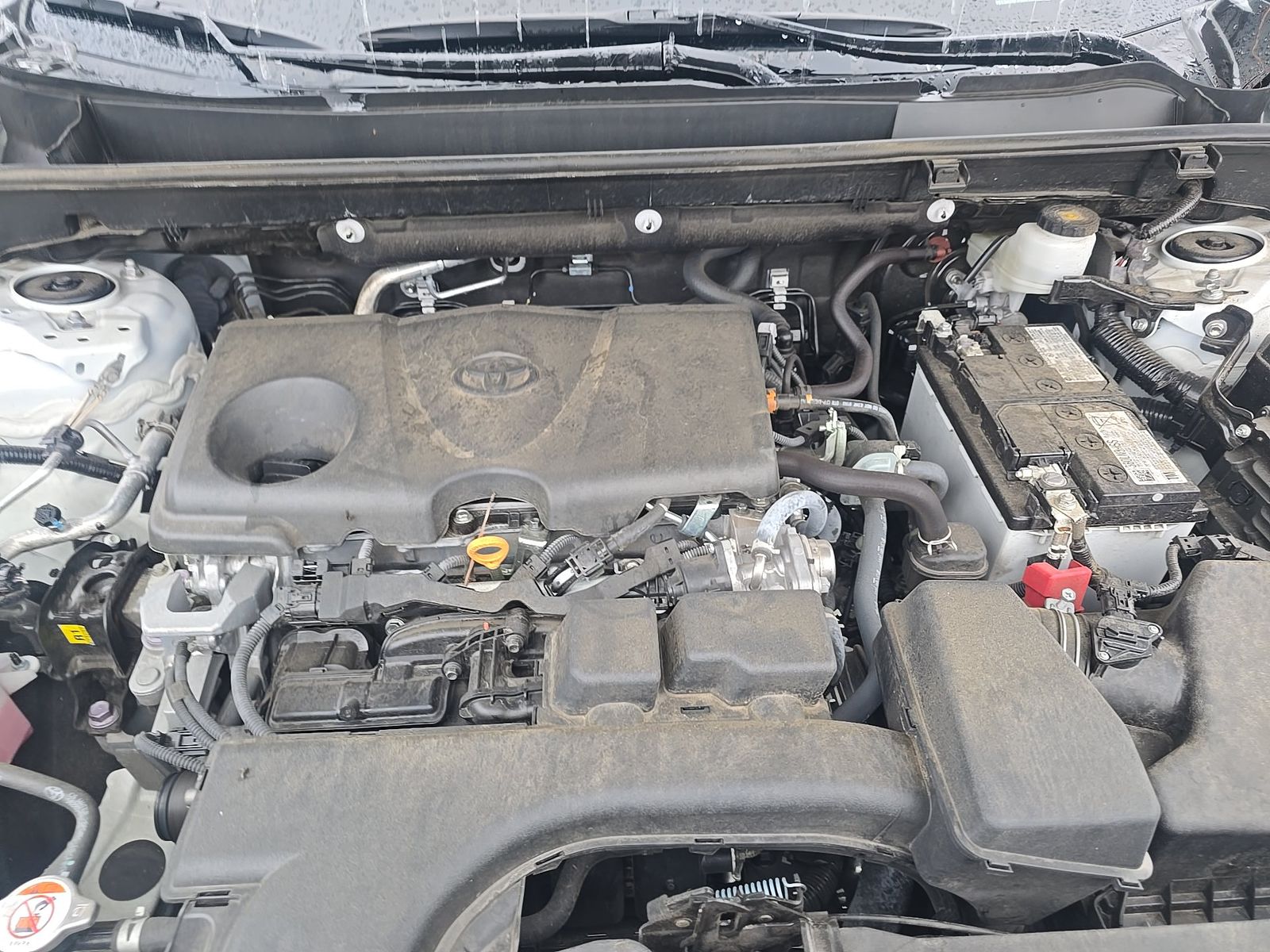 2025 Toyota RAV4 XLE FWD
