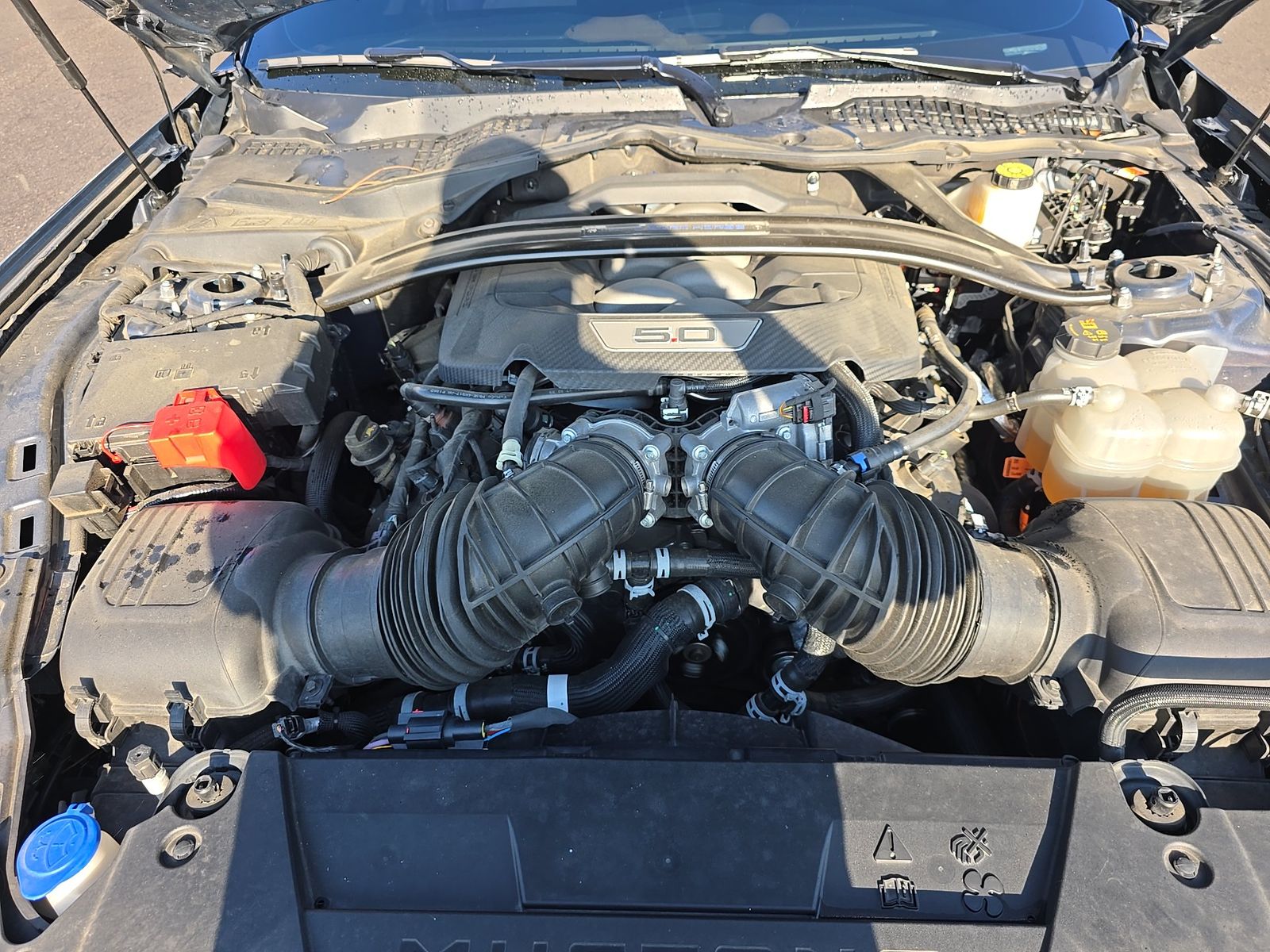 2024 Ford Mustang Dark Horse RWD