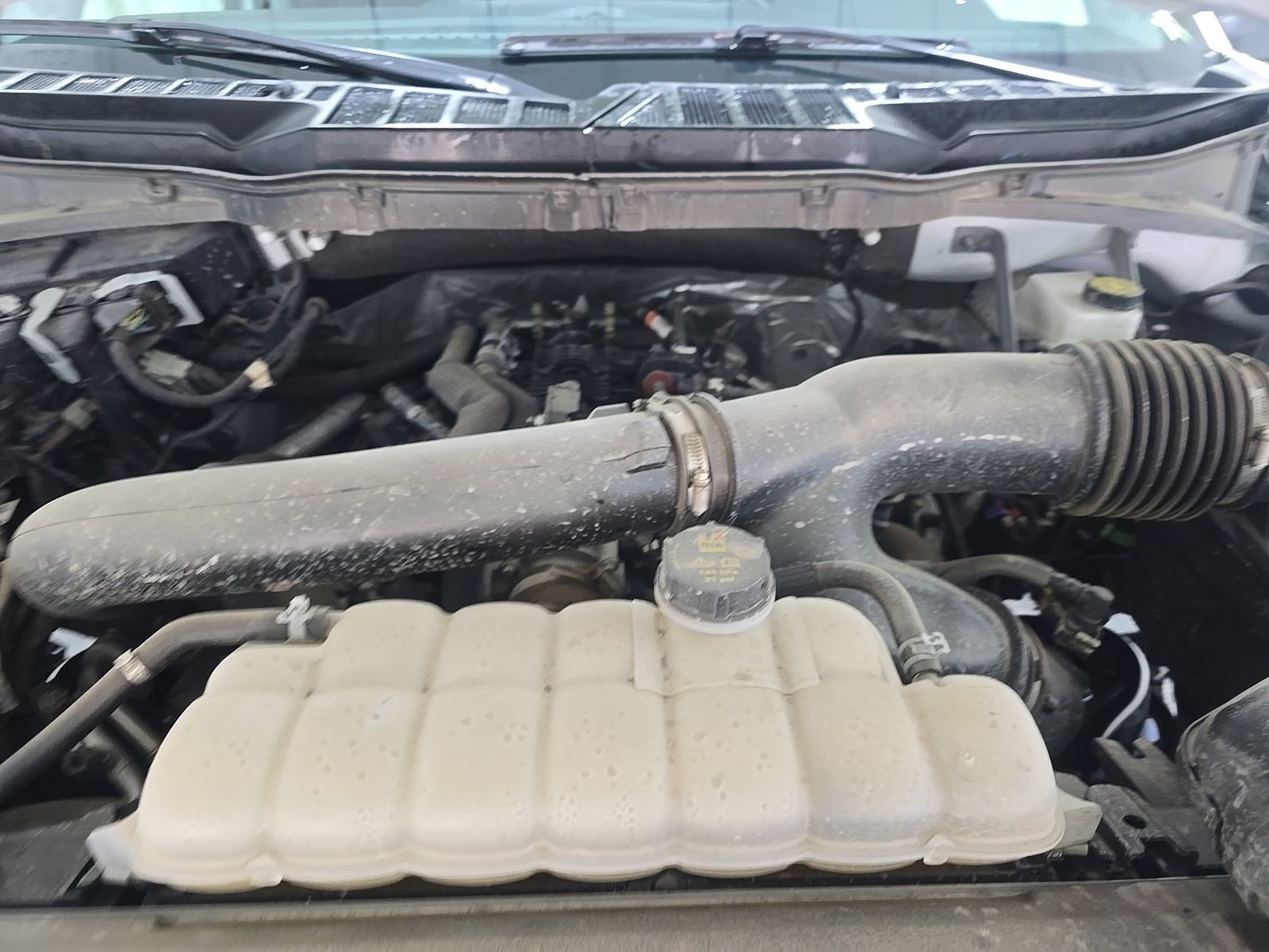 2025 Ford F-150 XLT AWD