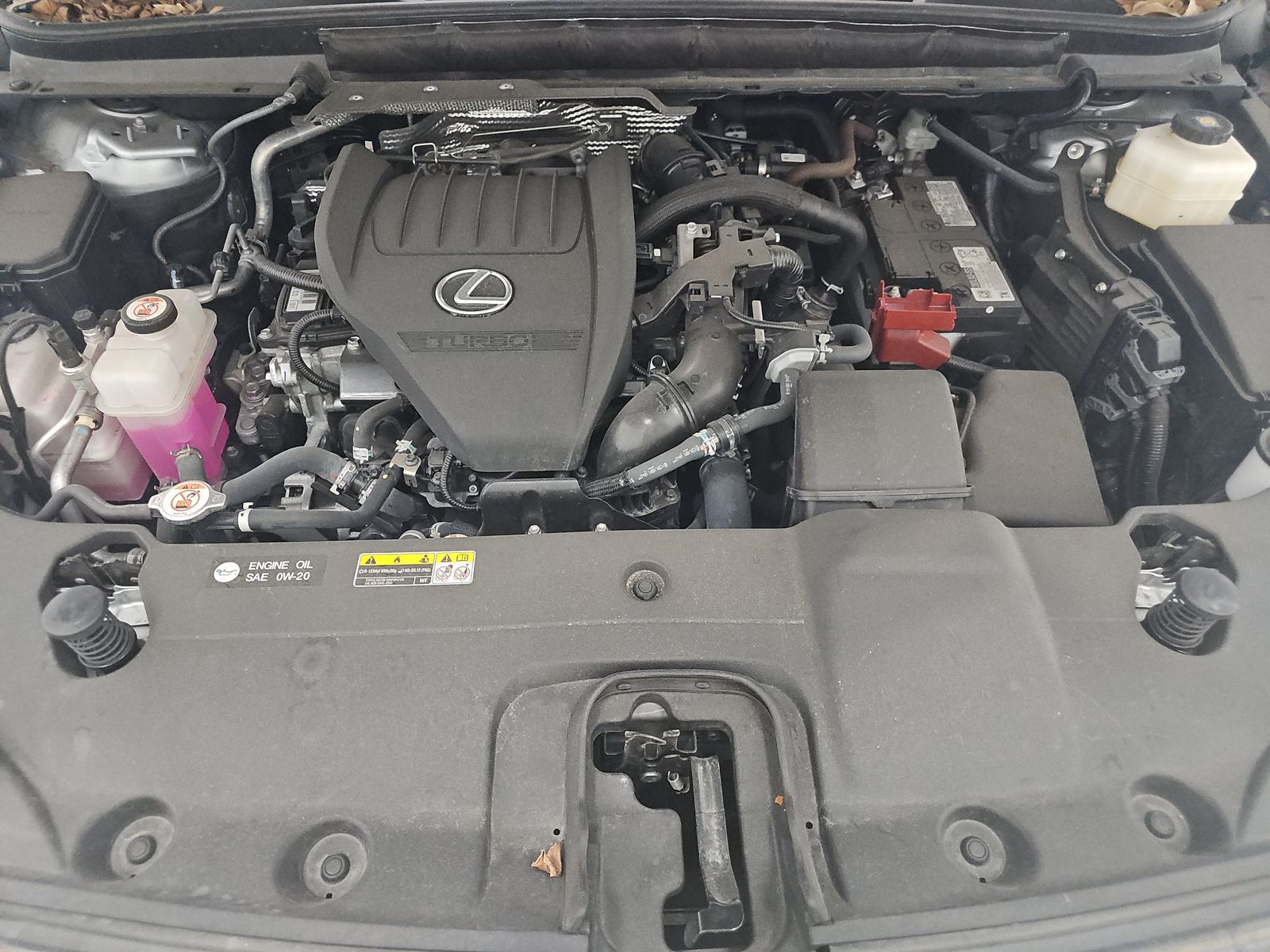 2024 Lexus RX RX 350 Luxury FWD