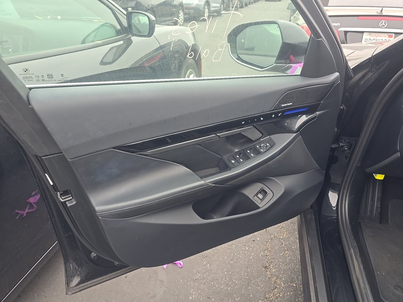 Driver Door Panel