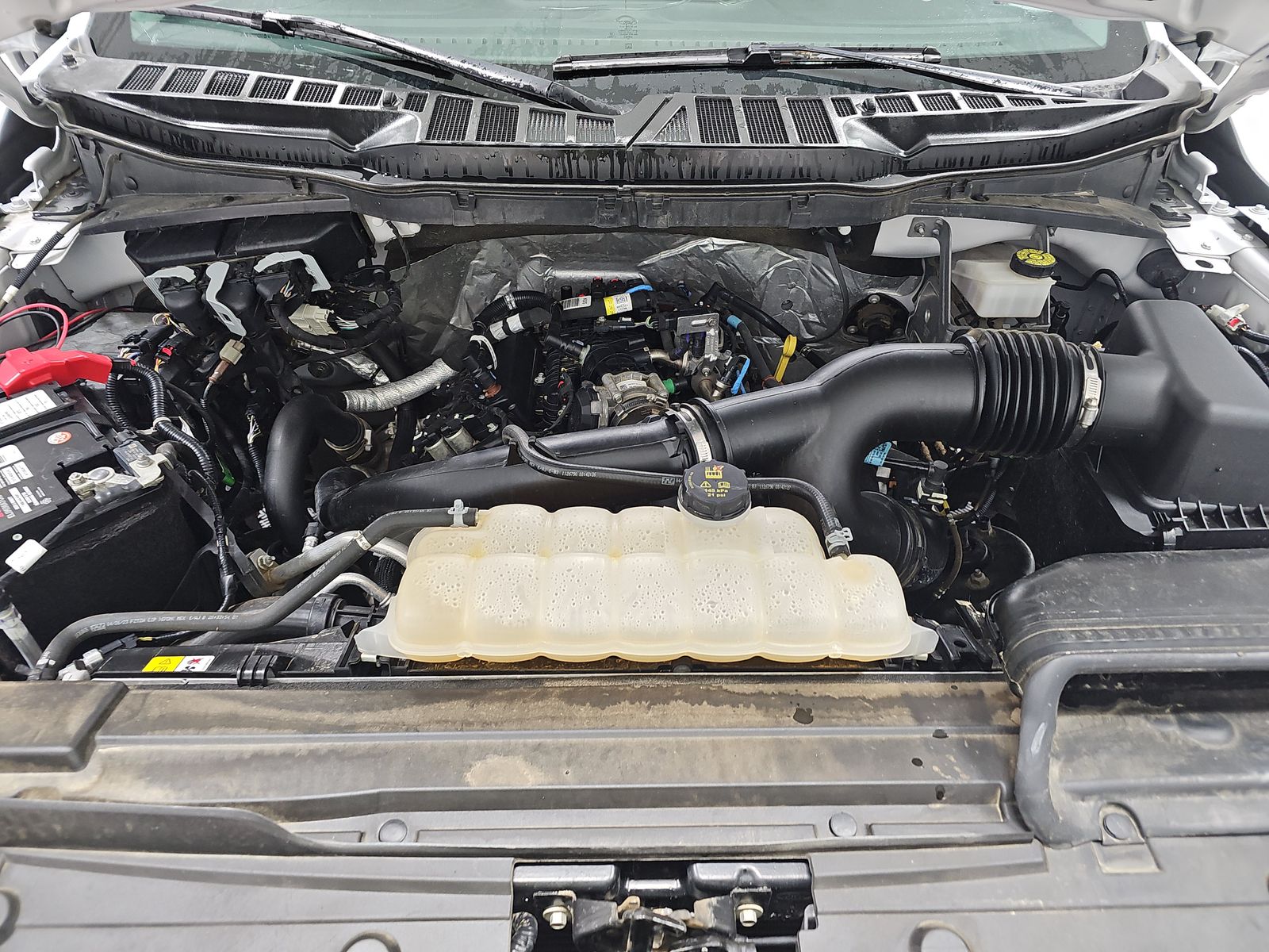 2023 Ford F-150 XLT AWD