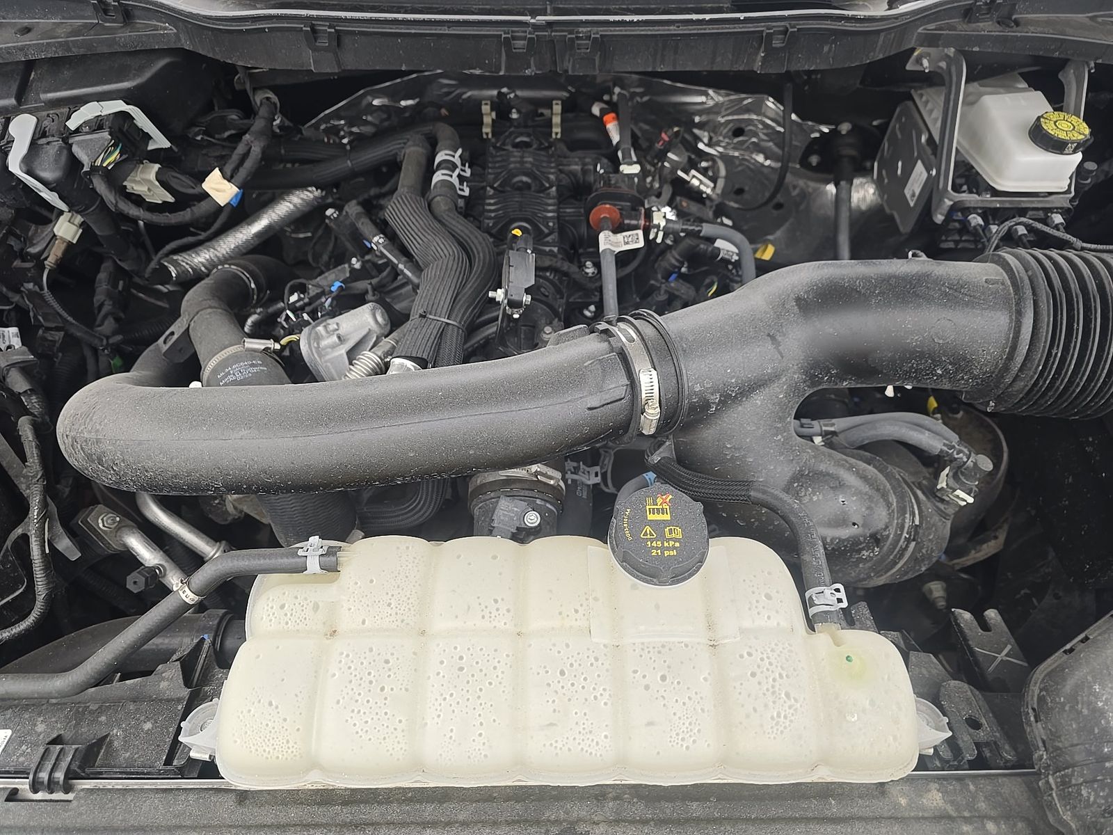 2025 Ford F-150 XLT AWD