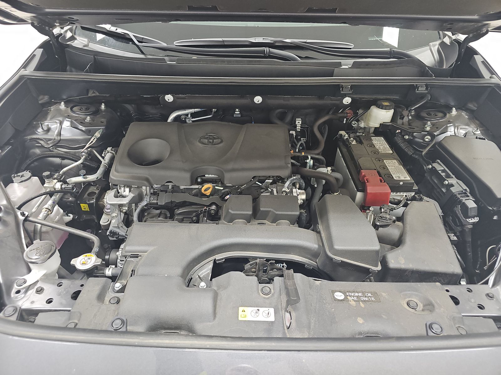 2025 Toyota RAV4 LE AWD