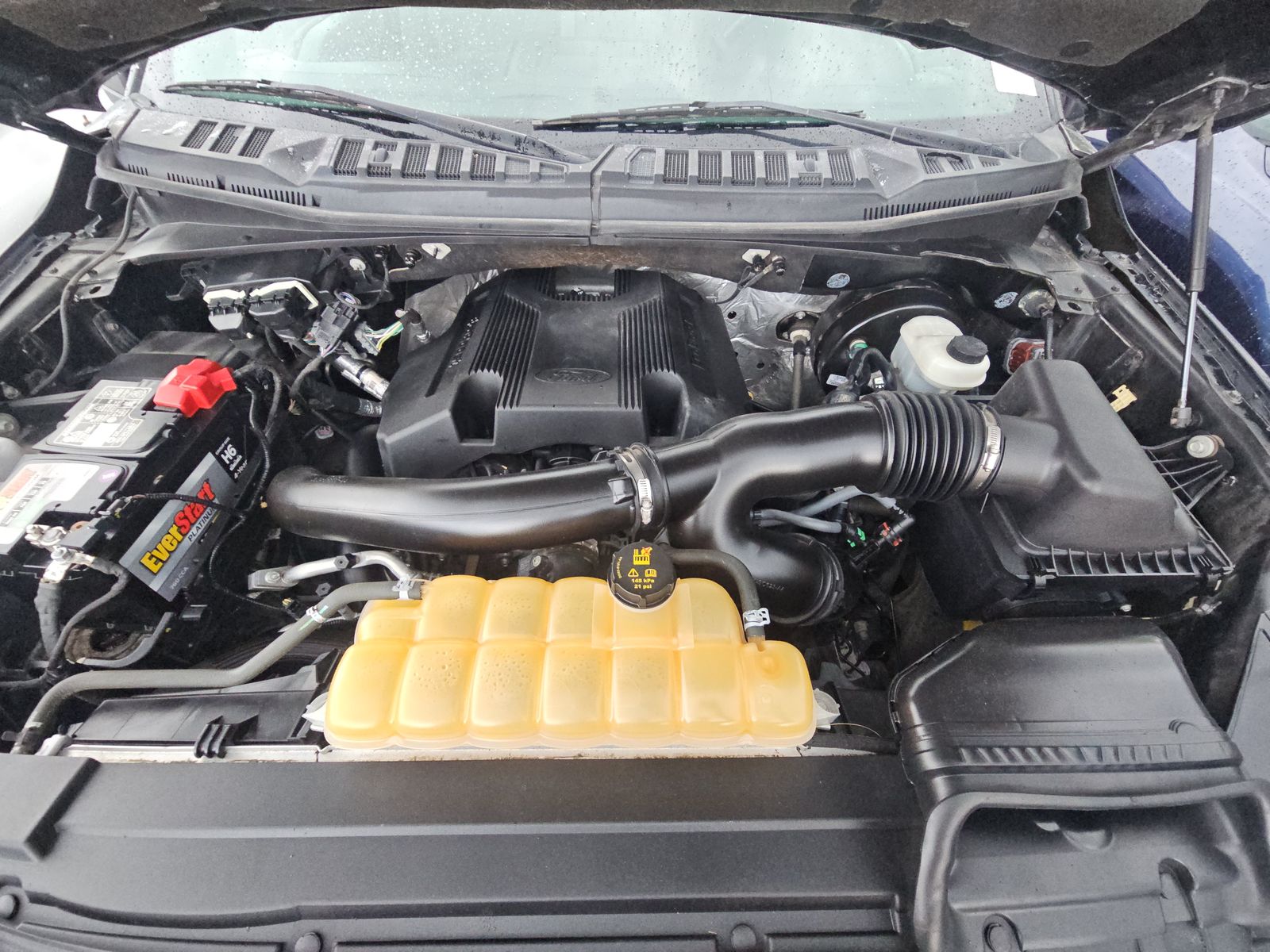 2018 Ford F-150 XLT RWD
