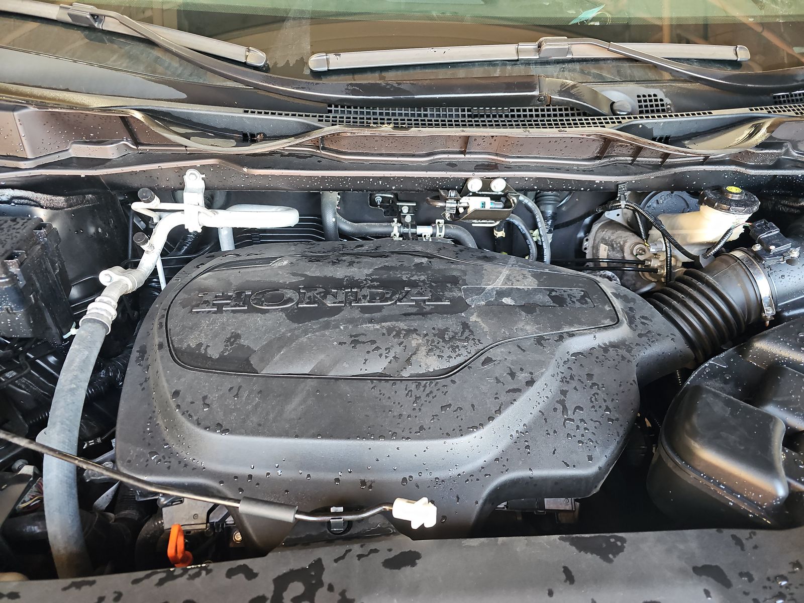 2023 Honda Odyssey EX-L FWD