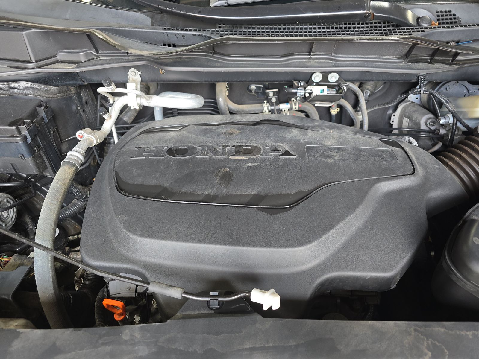 2023 Honda Odyssey Elite FWD