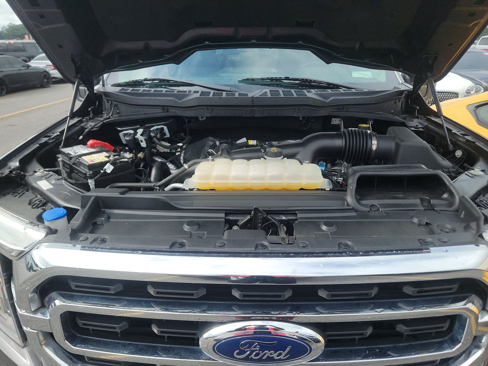 2021 Ford F-150 XLT RWD