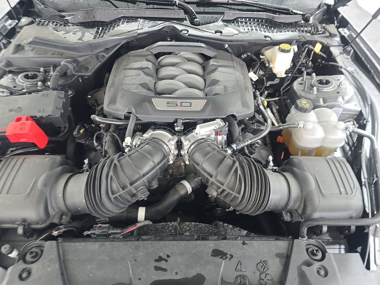 2025 Ford Mustang GT RWD