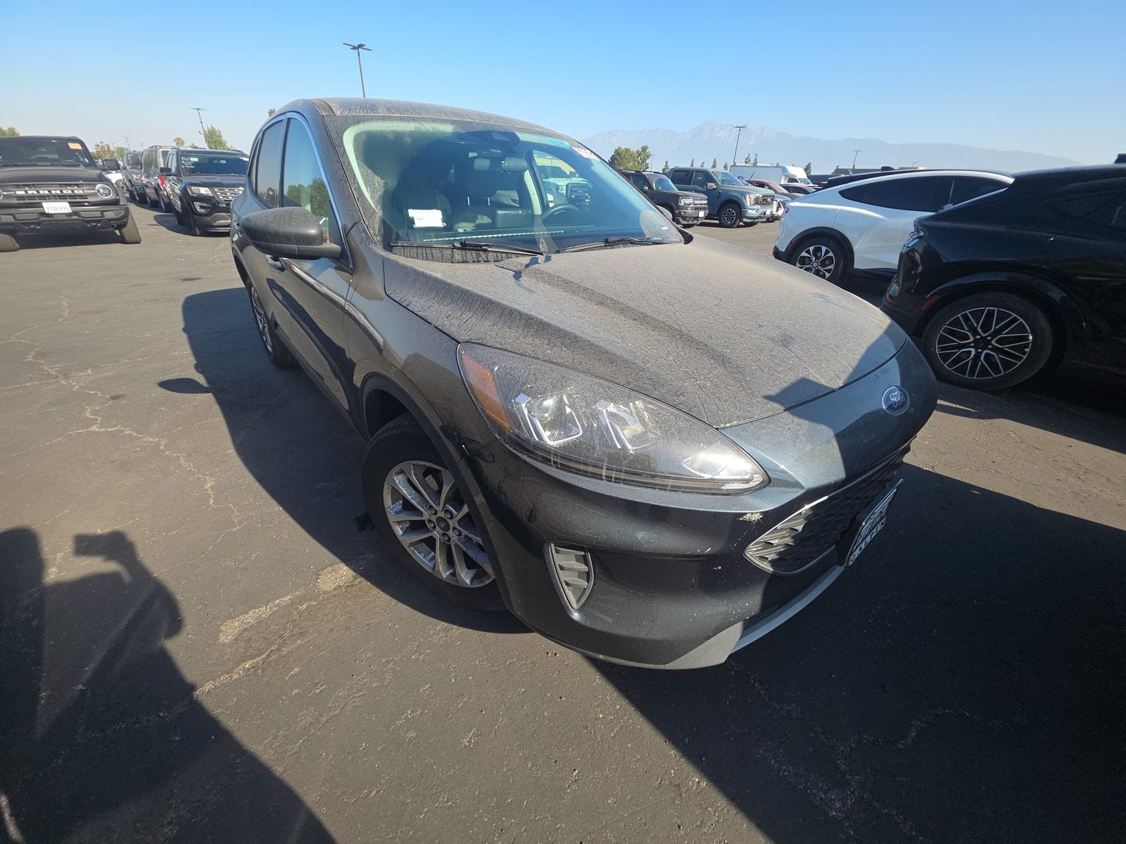 2022 Ford Escape SE FWD