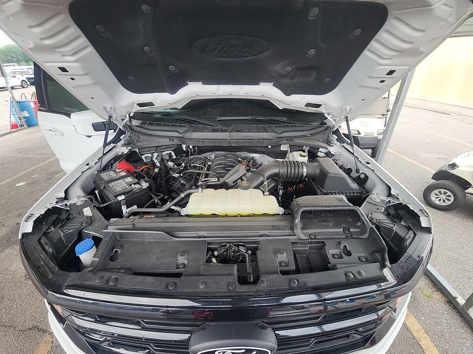 2025 Ford F-150 XLT AWD