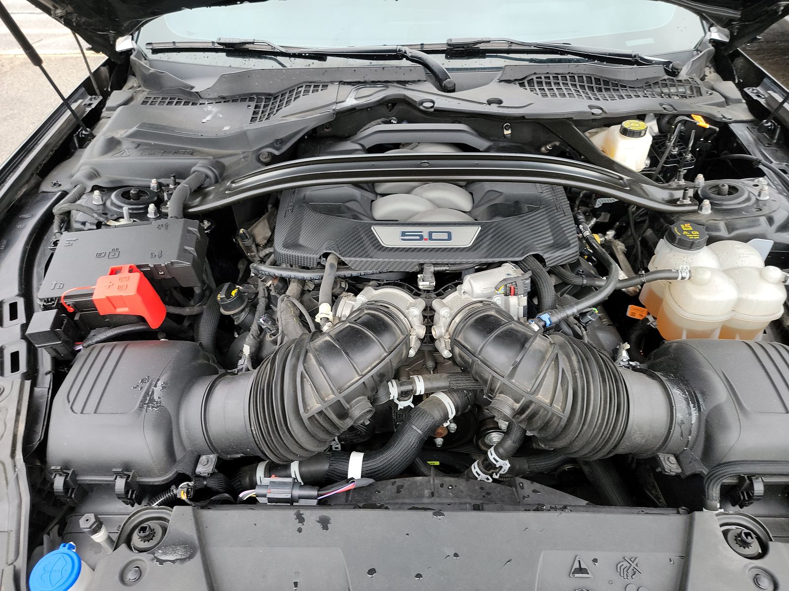 2025 Ford Mustang GT Premium RWD