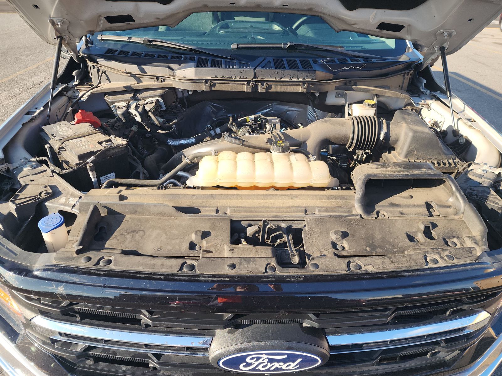 2024 Ford F-150 XLT RWD