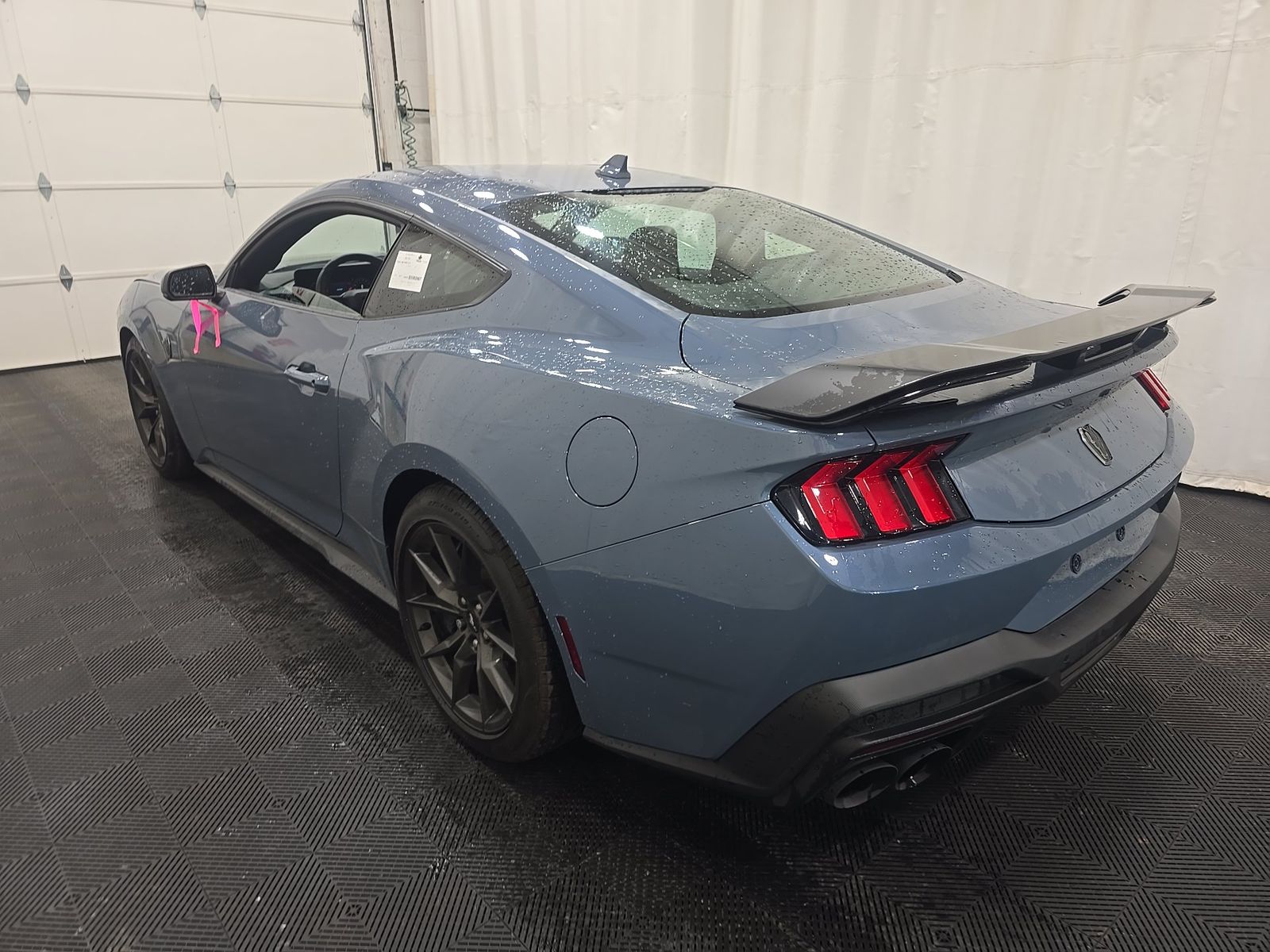 2025 Ford Mustang Dark Horse RWD
