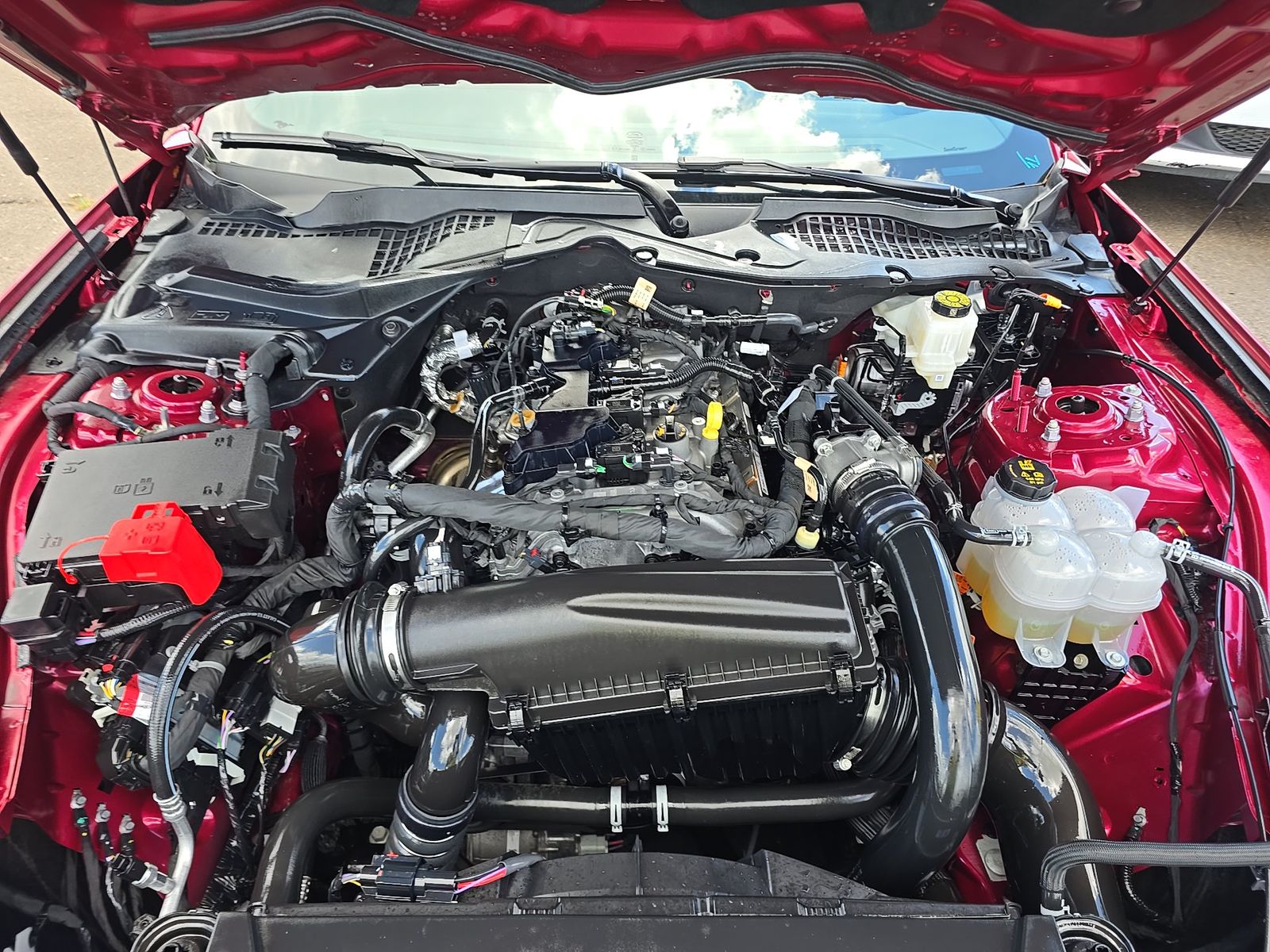 2025 Ford Mustang EcoBoost Premium RWD