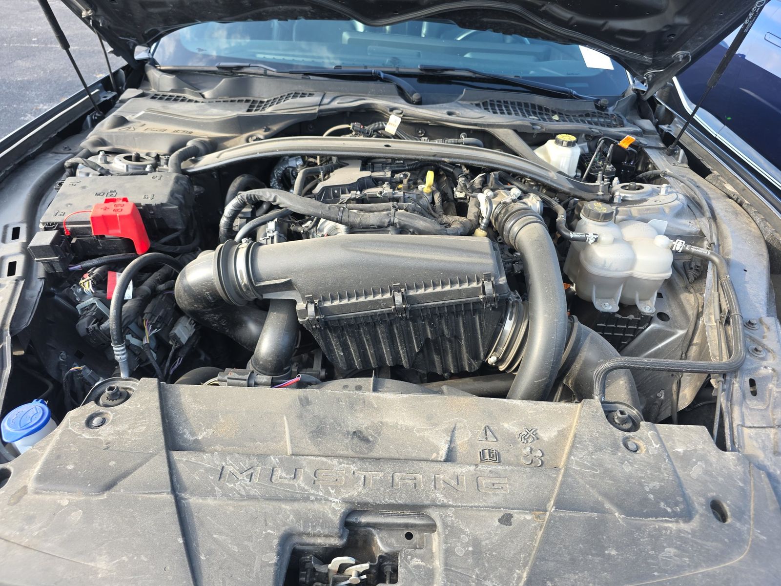 2025 Ford Mustang EcoBoost Premium RWD