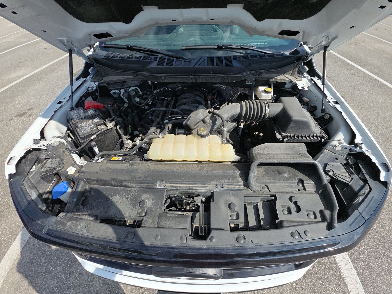 2025 Ford F-150 XLT AWD