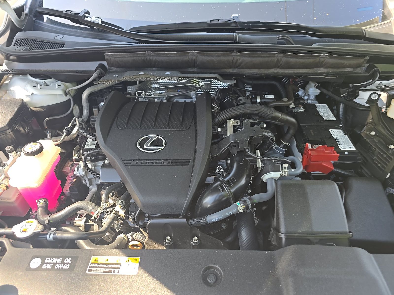 2024 Lexus RX RX 350 Premium Plus AWD