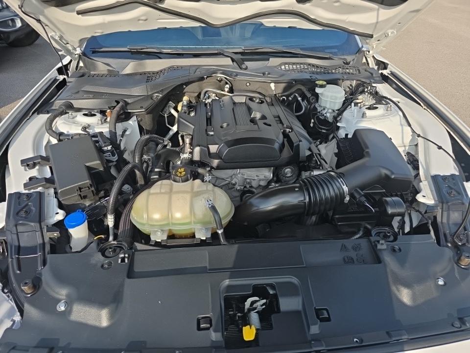 2020 Ford Mustang EcoBoost RWD