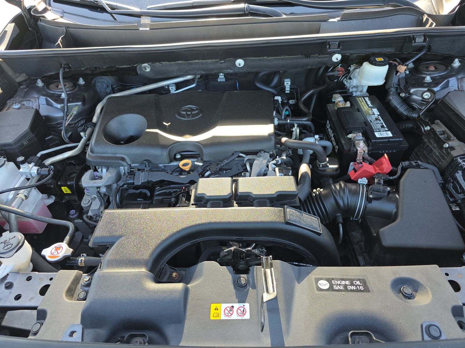2019 Toyota RAV4 LE FWD