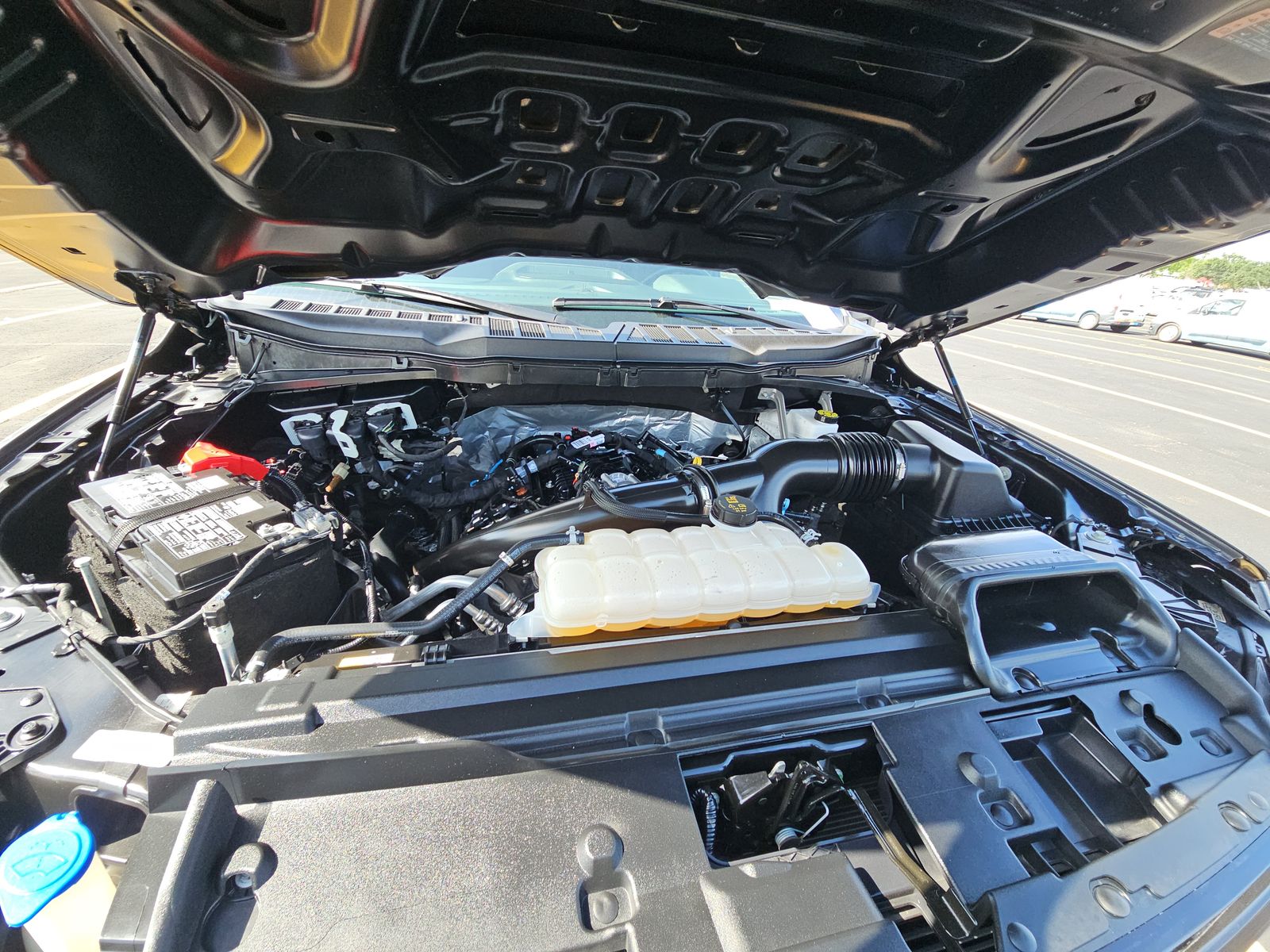 2025 Ford F-150 XLT RWD